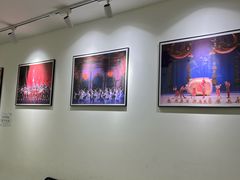 -中央芭蕾舞团·中芭艺蕾(酒仙桥明星校区)
