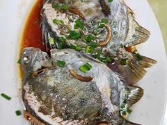 -阳江餐厅·30年老字号·粤菜海鲜大排档