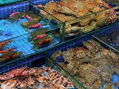 -板桥海鲜广场(文明东店)