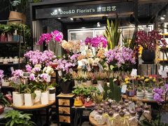 -豆豆花艺(新光天地店)