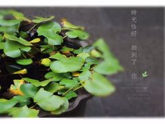 -普陀山风景名胜区-法雨禅寺