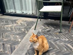 -CHURCH  BISTRO 教堂·餐吧