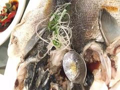 -御龙宴