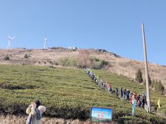 -东白山