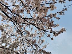 -古柏渡飞黄旅游区