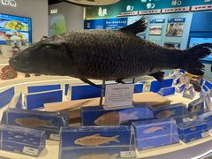 -千岛湖鱼味馆(十字街总店)