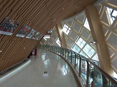 -重庆国际马戏城
