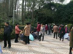 -人民公园-相亲角