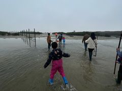 -红树林天天赶海