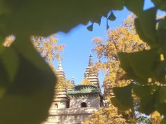 -北京石刻艺术博物馆(五塔寺)
