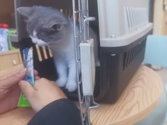 -宠颐生宠物医院·心肾内科·猫专科诊疗中心宠巢店