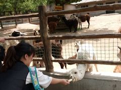 -西安秦岭野生动物园