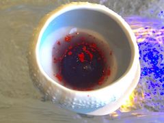 -九献创意菜·新中式(亮马河花园私宴店)