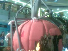 店内环境-凯德广场(学府店)