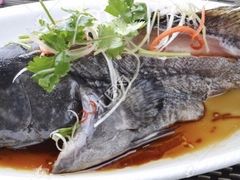 -金碧轩粤菜海鲜大酒楼