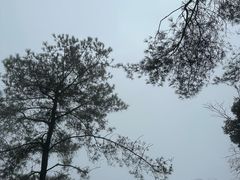 -綦江古剑山