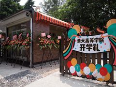 -柴犬高等学院·狗咖·柴犬售卖·宠物训练