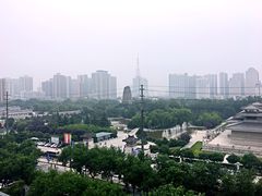 -真爱中国餐馆·年华店(朱雀大街店)