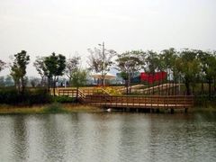 -新江湾城公园