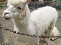 -上海大自然野生昆虫馆(东方明珠·爬宠昆虫探索中心)