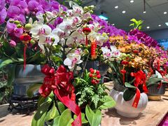 -双季花艺园艺市场(浦东店)