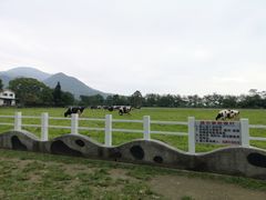-瑞穗牧场