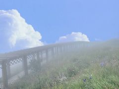 -白草畔自然风景区