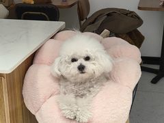 -MOI COFFEE(江山汇悦山府店)