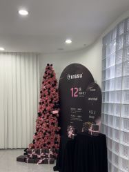 -KISS U 国际美学