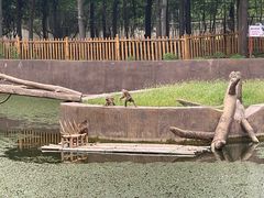-合肥野生动物园