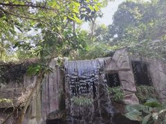 -青青世界