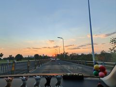 -合肥滨湖国家森林公园