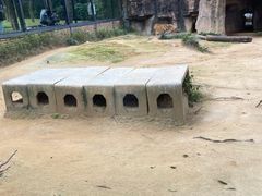 -紫马岭公园