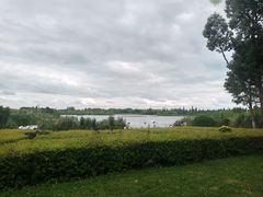 -呈贡滇池生态湿地公园