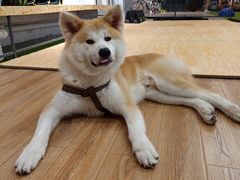 -YCHL Studios健身工作室(市二宫店)