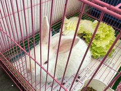 -岳合轩老北京涮肉