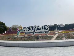 -上海鲜花港