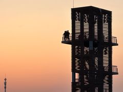 -春花秋色城市公园