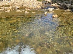 -北仑森林植物园