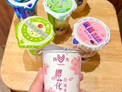 扬大酸奶-扬大康源乳业鲜奶吧(大学北路店)