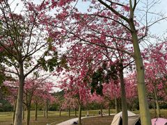 -风云岭森林公园