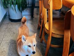 -GOIN CAFE 光阴咖啡馆