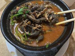 砂锅羊肚-砂锅店