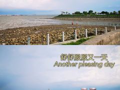 带瓶饮料来拍照装X-海鸥岛