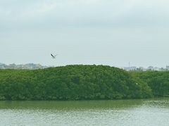-洛阳桥