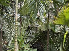 -石家庄市植物园