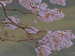 -红星桥(地铁站)