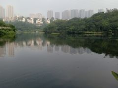 -重庆彩云湖湿地公园