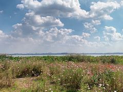 -七的湖·晚芳亭·阳澄湖农家菜·大闸蟹(莲花岛店)