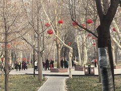 -达活泉公园